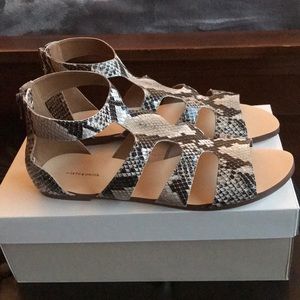 14th & Union Codie Gladiator sandals - Brown